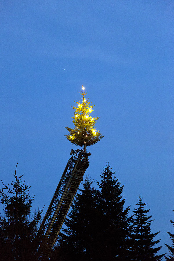 Juletræet på Ridebanen tændes 1. december